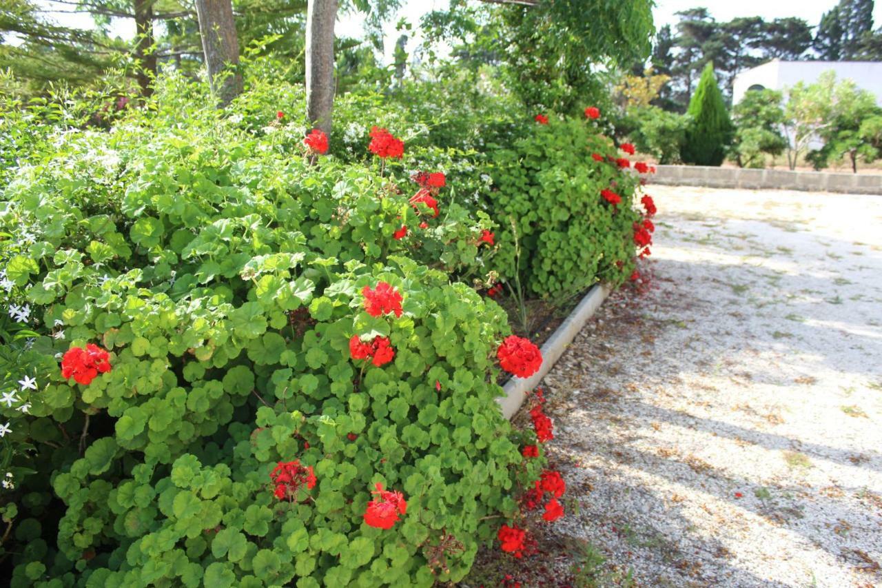 La Lanterna Delle Fate Bed & Breakfast Otranto Exterior photo